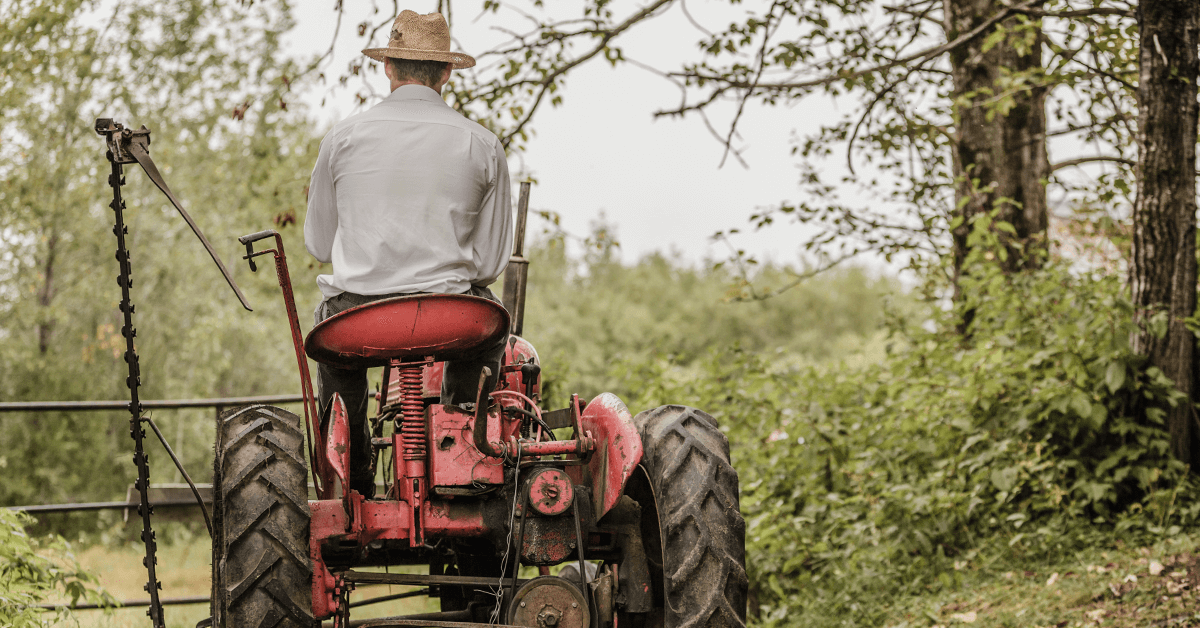Agricultores calculam prejuízos causados pela greve dos caminhoneiros